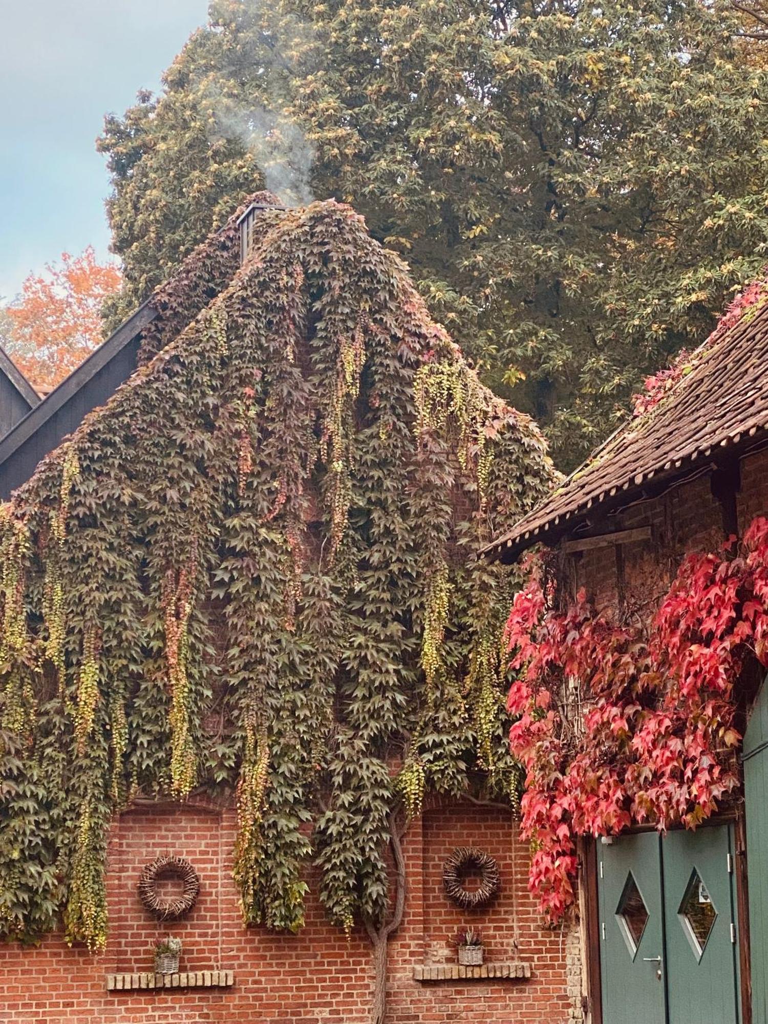 Landhaus Eggert Munster  Eksteriør bilde